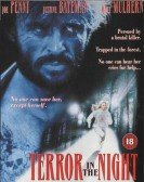 Terror in the Night poster