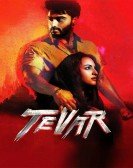 Tevar Free Download