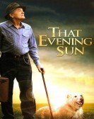 That Evening Sun (2009) Free Download