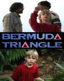 The Bermuda Triangle poster