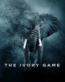 poster_the ivory game_tt5952266.jpg Free Download