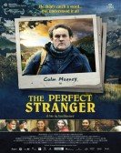 The Perfect Stranger poster