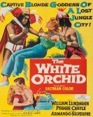 The White Orchid Free Download