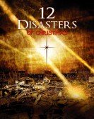 poster_the-12-disasters-of-christmas_tt2325993.jpg Free Download