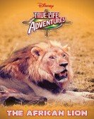 The African Lion Free Download