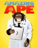 poster_the-amazing-ape_tt2014341.jpg Free Download