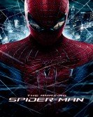 The Amazing Spider-Man (2012) Free Download