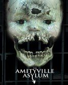 The Amityville Asylum (2013) poster