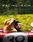 The Art of Racing in the Rain Free Download