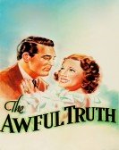 poster_the-awful-truth_tt0028597.jpg Free Download