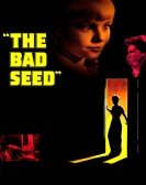 The Bad Seed poster