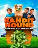 poster_the-bandit-hound_tt3671052.jpg Free Download