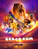 The Beach Bum poster