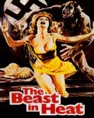 The Beast in Heat Free Download