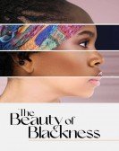 poster_the-beauty-of-blackness_tt18363426.jpg Free Download