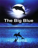 poster_the-big-blue_tt0095250.jpg Free Download