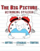 The Big Picture Rethinking Dyslexia Free Download