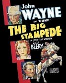 poster_the-big-stampede_tt0022681.jpg Free Download