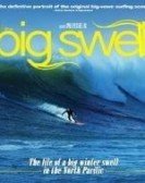 The Big Swell Free Download