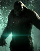 The Bigfoot Alien Connection Revealed Free Download