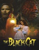 The Black Cat Free Download