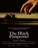 poster_the-black-pimpernel_tt0796206.jpg Free Download