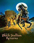 poster_the-black-stallion-returns_tt0085248.jpg Free Download