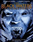 The Black Waters of Echo's Pond (2009) poster