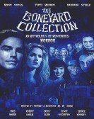 The Boneyard Collection Free Download