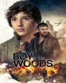 poster_the-boy-in-the-woods_tt15304502.jpg Free Download