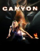 The Canyon poster