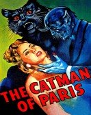 The Catman of Paris poster