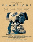 The Champions Free Download