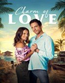 The Charm of Love Free Download