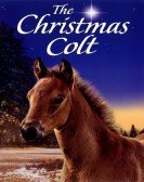 The Christmas Colt Free Download