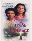 The Color of Courage Free Download