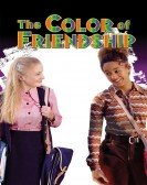 The Color of Friendship Free Download