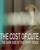 The Cost Of Cute: The Dark Side Of The Puppy Trade poster