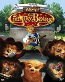 poster_the-country-bears_tt0276033.jpg Free Download