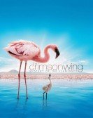 The Crimson Wing: Mystery of the Flamingos Free Download