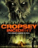 The Cropsey Incident poster