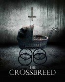 The Crossbre poster