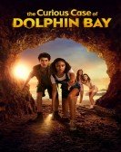 The Curious Case of Dolphin Bay Free Download