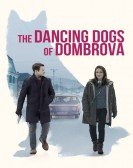 The Dancing Dogs of Dombrova poster