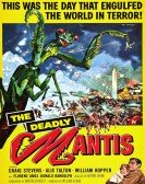 poster_the-deadly-mantis_tt0050294.jpg Free Download