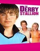 The Derby Stallion poster