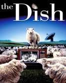 poster_the-dish_tt0205873.jpg Free Download