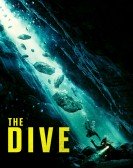 poster_the-dive_tt13566172.jpg Free Download