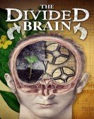 The Divided Brain Free Download