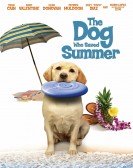 The Dog Who Saved Summer Free Download